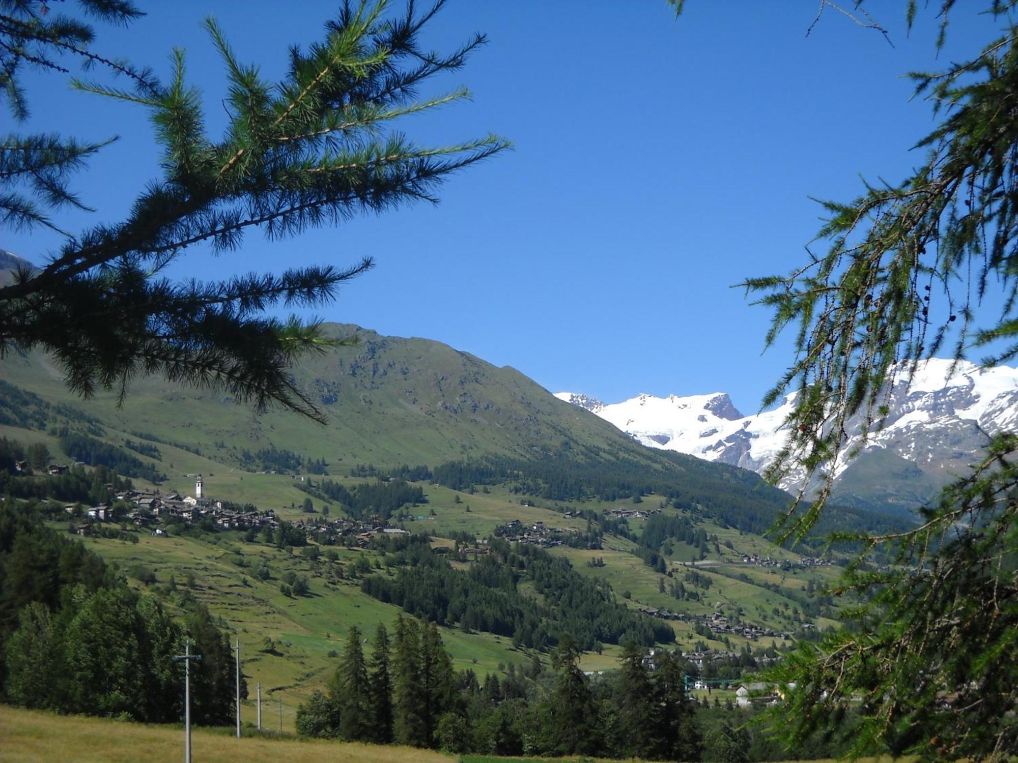 Residence Les Myosotis Champoluc Exterior foto