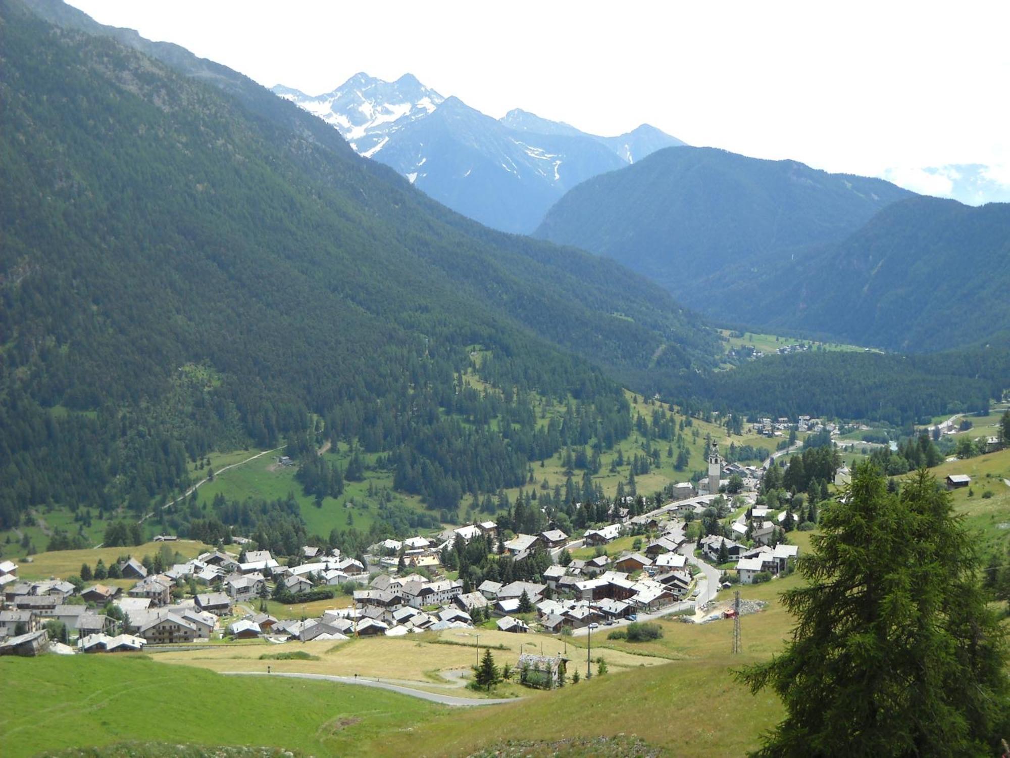Residence Les Myosotis Champoluc Exterior foto