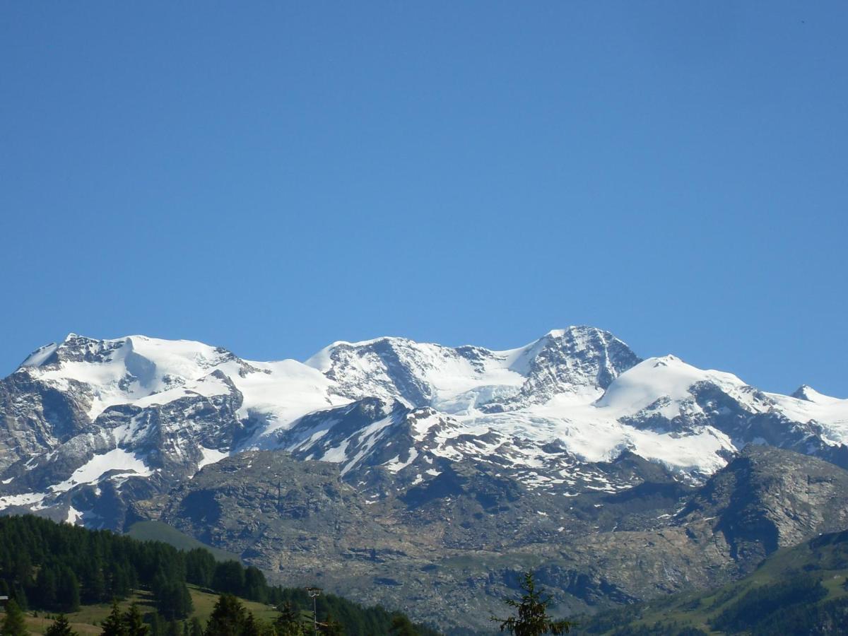 Residence Les Myosotis Champoluc Exterior foto